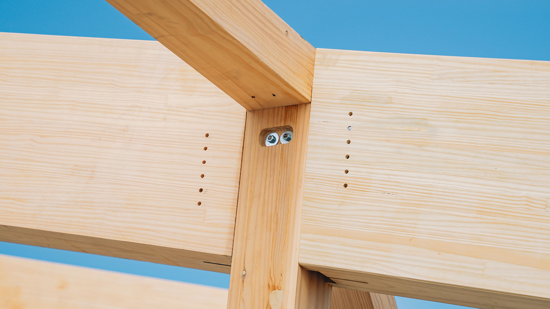 Mass Timber: A Key Material for Sustainability Mass Timber: A Key Material for Sustainability - Featured image